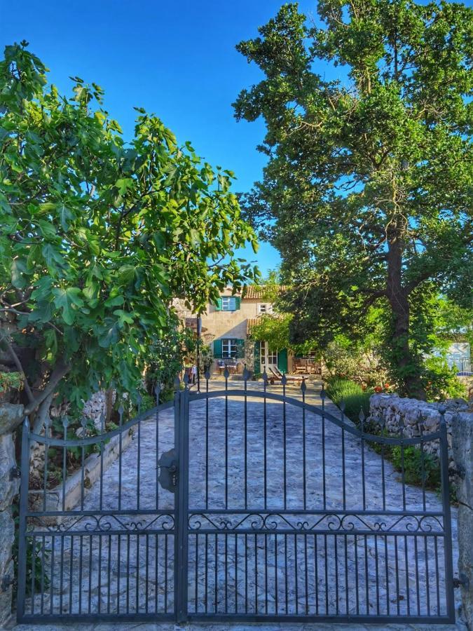 Villa Dvori Dida Mile Sveti Petar  Esterno foto