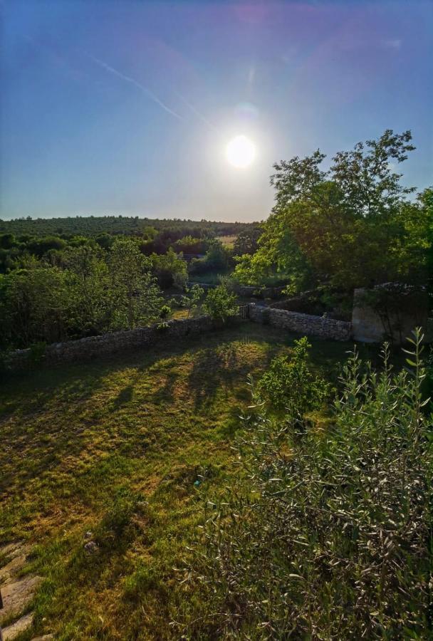 Villa Dvori Dida Mile Sveti Petar  Esterno foto