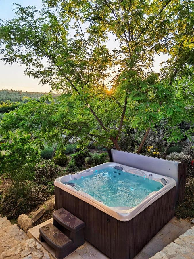 Villa Dvori Dida Mile Sveti Petar  Esterno foto