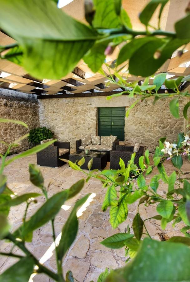 Villa Dvori Dida Mile Sveti Petar  Esterno foto