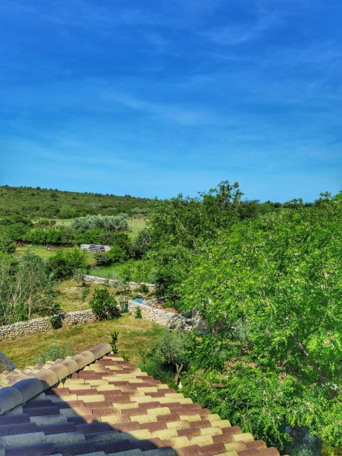 Villa Dvori Dida Mile Sveti Petar  Esterno foto