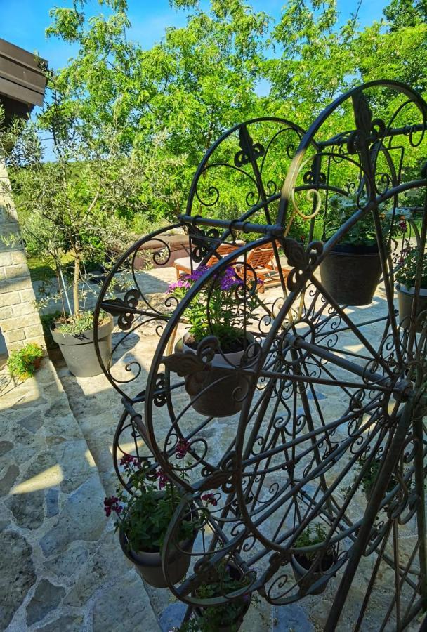 Villa Dvori Dida Mile Sveti Petar  Esterno foto
