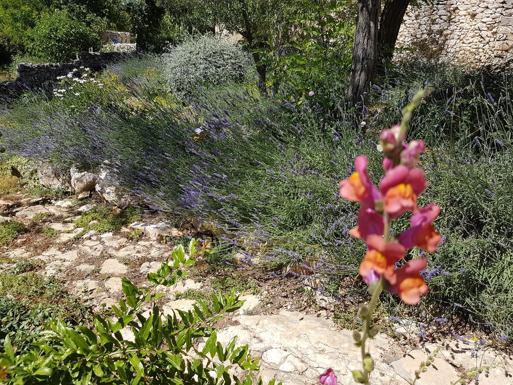Villa Dvori Dida Mile Sveti Petar  Esterno foto