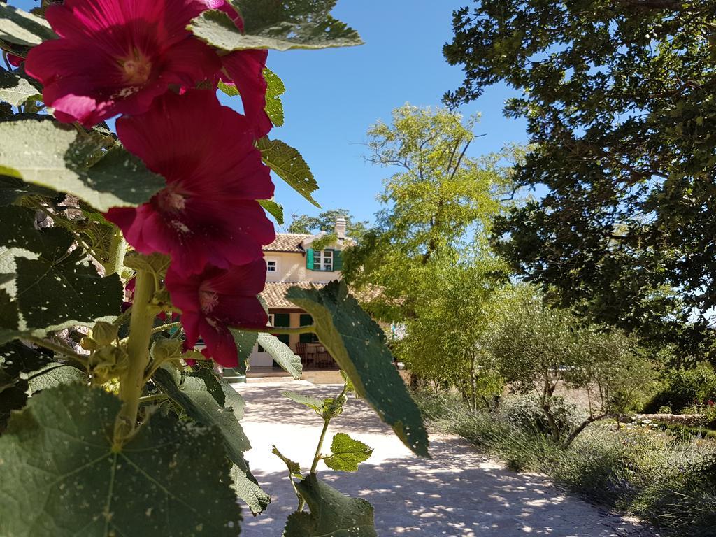Villa Dvori Dida Mile Sveti Petar  Esterno foto